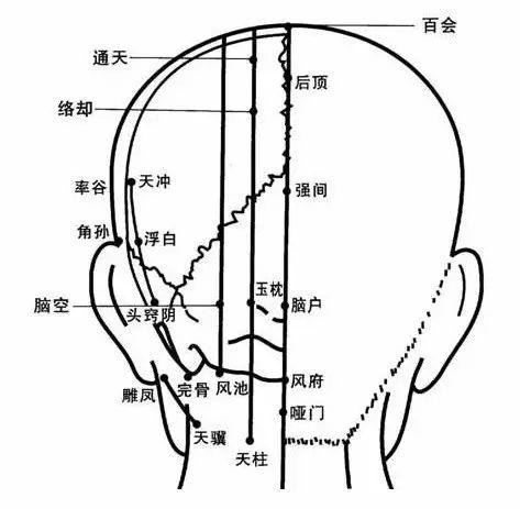 每天按一按这些穴位，头发会变得更稳固