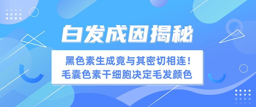 健康科普 | 白发成因揭秘，黑色素生成竟与其密切相连！