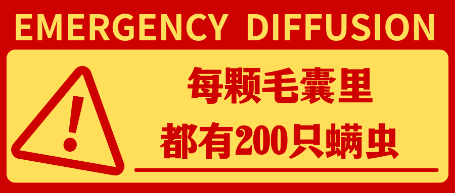 每颗毛囊里都有200只螨虫？！