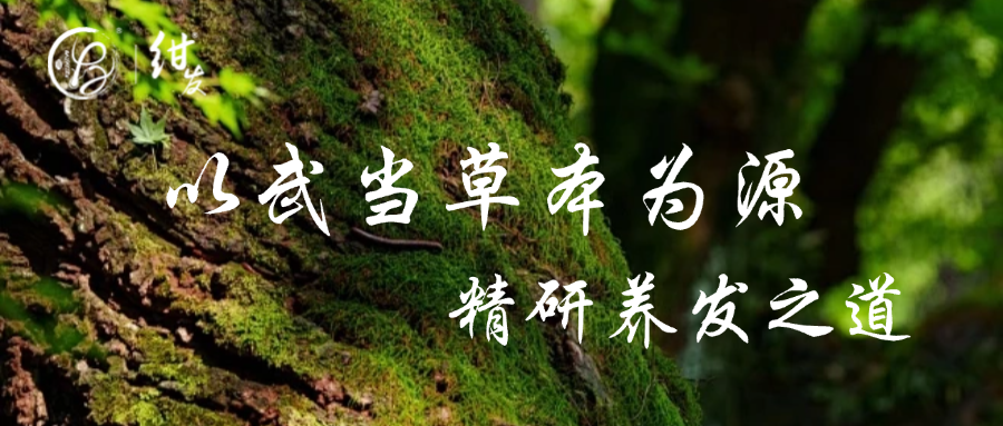 以武当草本为源，打造草本养发新标杆